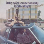 Buy Doing What Comes Naturally (Vinyl)