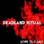 Buy Down In Flames (CDS)