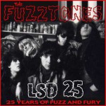 Buy Lsd 25: 25 Years Of Fuzz And Fury