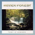 Buy Hidden Forest