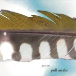 Buy Pull Awake