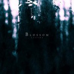 Buy Blossom
