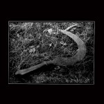 Buy Herbst (EP)