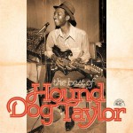 Buy The Best Of Hound Dog Taylor
