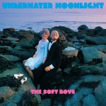 Buy underwater moonlight