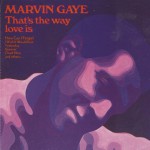 Buy That's The Way Love Is (Vinyl)