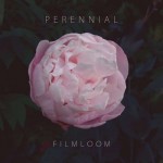 Buy Perennial