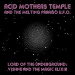 Buy Lord Of The Underground: Vishnu And The Magic Elixir