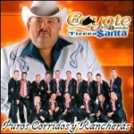 Buy Puros Corridos Y Rancheras