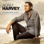 Purchase Adam Harvey Falling Into Place