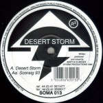 Buy Desert Storm / Scoraig 93 (VLS)