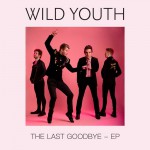 Buy The Last Goodbye (EP)