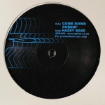 Buy Come Down Dubbin' / Hazey Bass (VLS)