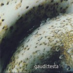 Buy Em:t 1105 - Gaudi:testa