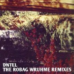 Buy The Robag Wruhme Remixes