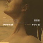 Buy Perennial (CDS)