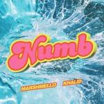 Buy Numb (CDS)