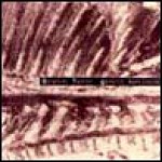 Buy Genetic Implosion