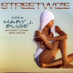 Purchase Streetwize Does Mary J. Bluge