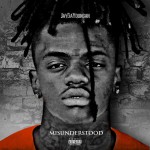 Buy Misunderstood