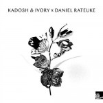 Buy Daniel Rateuke & Kadosh & Ivory