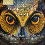 Buy A Watchful Gaze