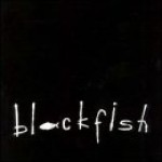 Buy Blackfish