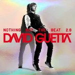 Buy Nothing But The Beat 2.0