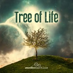 Buy Tree Of Life