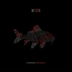 Buy Koi