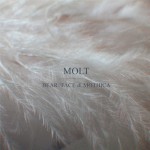Buy Molt (CDS)