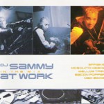 Buy DJ Sammy At Work (In The Mix) CD1