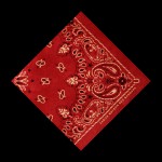 Buy Red Bandana