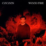 Buy Wood Fire