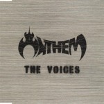Buy The Voices (CDS)