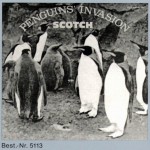 Buy Penguins' Invasion (CDS)