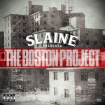 Buy The Boston Project