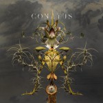 Buy Conatus