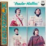Buy Condor Mallcu