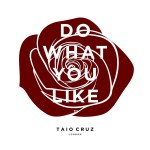 Buy Do What You Like (CDS)