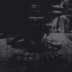 Buy Animal Flag Pt. 2 (EP)