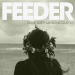 Buy Dove Grey Sands (Acoustic Version)