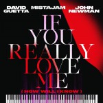 Buy If You Really Love Me (How Will I Know) (With Mistajam & John Newman) (CDS)