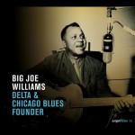 Buy Saga Blues: Delta & Chicago Blues Founder