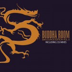 Buy Buddha Room Vol 6