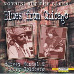 Buy Nothin' But The Blues - Blues From Chicago (With Barry Goldberg)