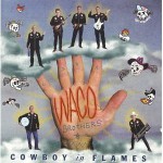 Buy Cowboy in Flames