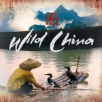 Buy Wild China (With BBC Concert Orchestra & The UK Chinese Ensemble)