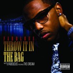 Buy Throw It In The Bag (Feat. The-Dream) (CDS)
