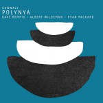 Buy Polynya (With Albert Wildeman & Ryan Packard)